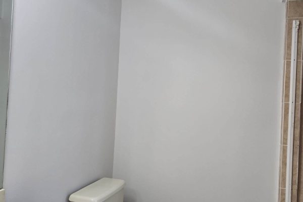red-wood-renovation-condominium-renovation5